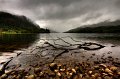 799 - loch shiel - PRAPROTNIK STEFI - slovenia